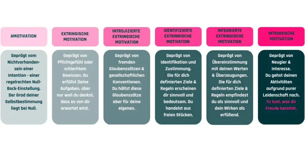 Selbstbestimmungstheorie und Motivationsmodell